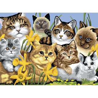 Junior Large Paint By Number Kit 15 1/4 X 11 1/4 Cats Montage