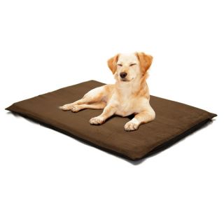 PAW 2.5 inch Orthopedic Foam Suede Pet Bed for Medium Dogs