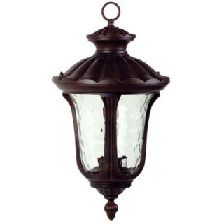 Yosemite Home Decor Tori 16.75 in. Incandescent Hanging Exterior Light, Brown Frame with Frosted Glass DISCONTINUED 5314HBR