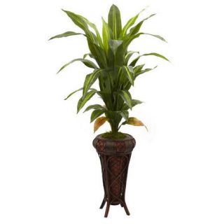 Nearly Natural Nearly Natural Dracaena Floor Plant in Decorative Vase