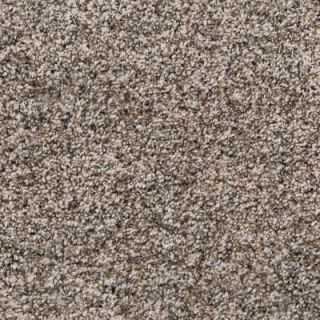 Spellbound II   Color Latte Texture 12 ft. Carpet (1080 sq. ft. / Roll) H2003 301 1200