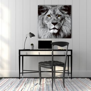 Benjamin Parker Galleries Lion Photographic Print on Glass