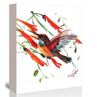 Hummingbird 9 Painting Print on Gallery Wrapped Canvas by Americanflat