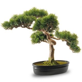 National Tree Company 16 in. Artificial Cedar Bonsai in Oval Browsers Pot LBC4 701 16 1