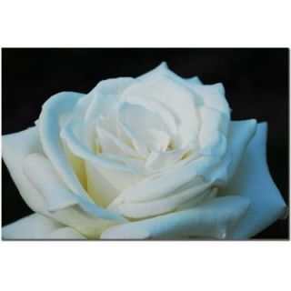 Trademark Fine Art 24 in. x 16 in. White Rose Beauty 2 Canvas Art KS334 C1624GG