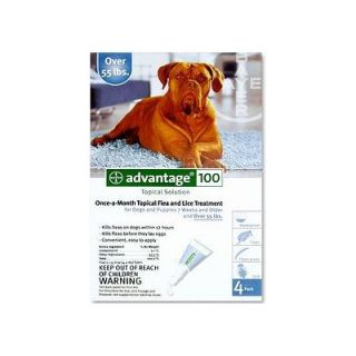Advantage Flea Medication For Dogs