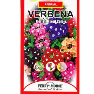 Ferry Morse Verbena Florist Mixed Seed 1165