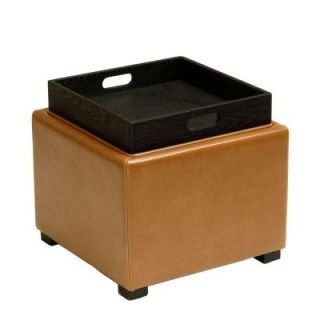 Home Decorators Collection Rickey Tray Top Ottoman HUD4006C