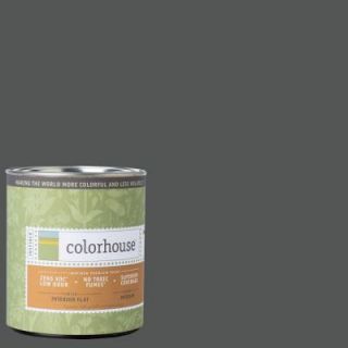 Colorhouse 1 qt. Metal .05 Flat Interior Paint 691557