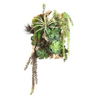 Succulent Floor Plant in Trunk by Dalmarko Designs