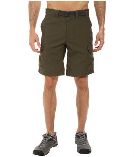 The North Face Paramount II Cargo Short New Taupe Green
