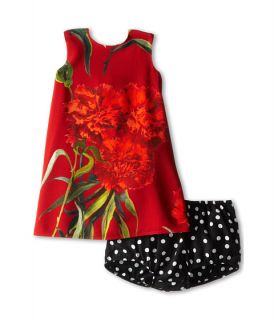 Dolce & Gabbana Kids Rose Silk Print Dress (Infant)