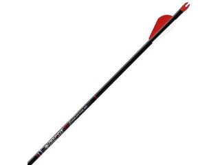 EASTON SHAFT DEEPSIX XD 490 D6 (dzn) 625494|TF