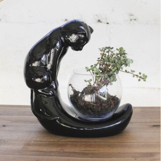 Creative Co Op Cosmopolitan Cat Looking into Fish Bowl Figurine
