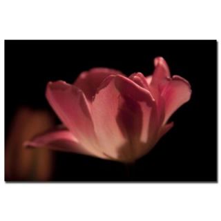 Trademark Fine Art 24 in. x 16 in. Blooming Tulip Canvas Art MG0207 C1624GG