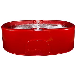 SpaBerry Oval Hot Tub