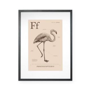 Checkerboard, Ltd Flamingo Framed Graphic Art