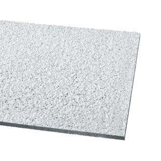 Armstrong 10 Pack Ceiling Tiles (Actual 47.719 in x 23.719 in)
