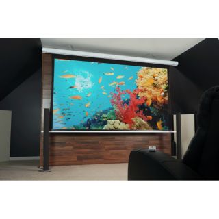 Elite Screens Saker, 150 inch 169 with 12 Drop, Electric Motorized