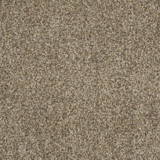 STAINMASTER TruSoft Private Oasis II Taupe Textured Indoor Carpet