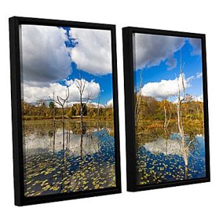 ArtWall Beaver Marsh by Cody York 2 Piece Framed Photographic Print; 24 H x 36 W x 2 D