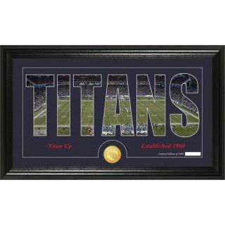 Tennessee Titans Silhouette Bronze Coin Panoramic Photo Mint