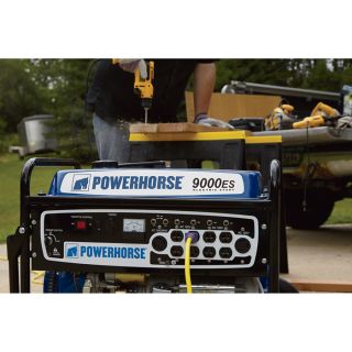 Powerhorse Portable Generator — 9000 Surge Watts, 7250 Rated Watts, Electric Start  Portable Generators