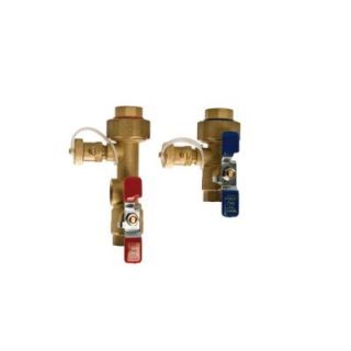 Watts 1 in. Tankless Water Heater Valve Set DISCONTINUED 0100135