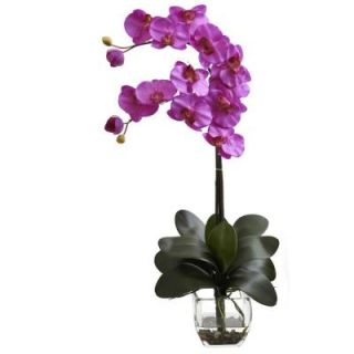 Nearly Natural Double Phalaenopsis Orchid with Vase Arrangement in Orchid 1323 OR