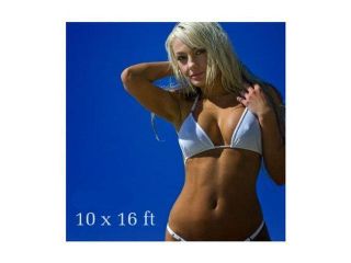 LoadStone Studio  10 X 16 Ft Blue Chromakey Muslin backdrop Background for Photography Studio