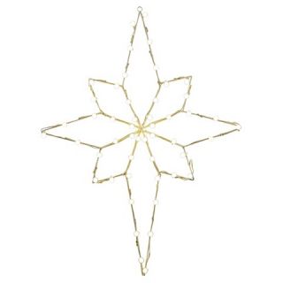 48 x 36 LED Bethlehem Star C7 Motif