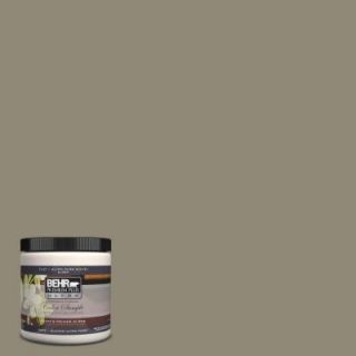 BEHR Premium Plus Ultra 8 oz. #780D 6 Witch Hazel Interior/Exterior Paint Sample 780D 6U