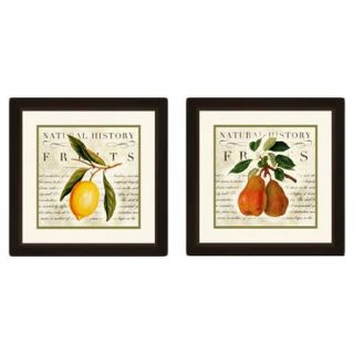 PTM Images Natural History Fruits 2 Piece Framed Graphic Art