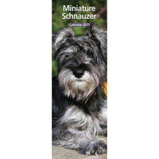 Steel Miniature Schnauzer Dog 2015 Slim Calendar