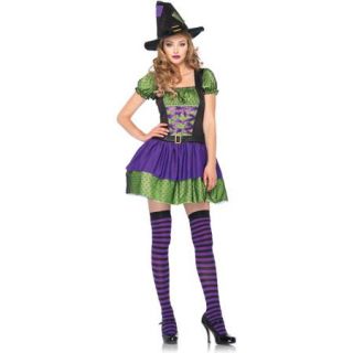 Hocus Pocus Witch Adult Halloween Costume