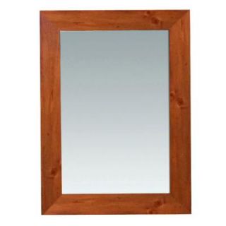 Home Decorators Collection Camden 30 in. L x 22 in. W Wall Mounted Mirror in Pine BFCAMDENMR