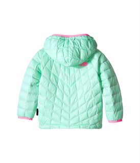 The North Face Kids Thermoball Hoodie Toddler Surf Green