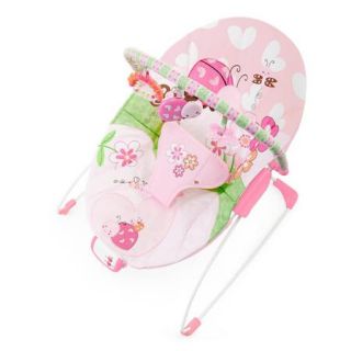 Bright Starts Pretty in Pink Meadow Blossoms Bouncer