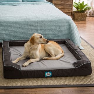Sealy Extra Large Memory Foam Pet Bed   Shopping   The Best