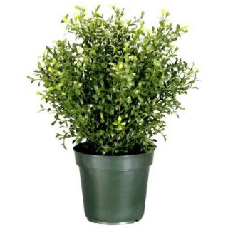 National Tree Company 30 in. Argentea Artificial Plant in Round Green Growers Pot LAR4 700 30 1