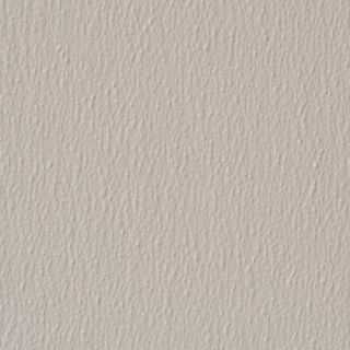 Sequentia 48 in x 10 ft Embossed Morning Mist Gray Sandstone Fiberglass Reinforced Wall Panel