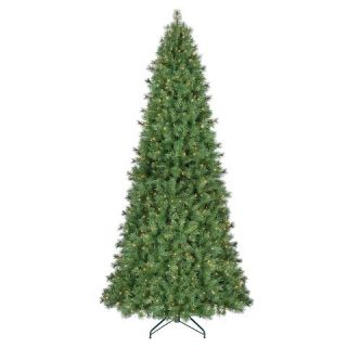 10.5 ft. Pre Lit Douglas Fir Artificial Christmas Tree  Clear Lights