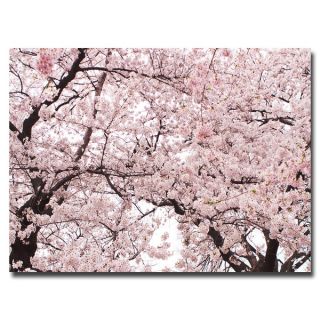 Ariane Moshayedi Cherry Blossom Bonanza Canvas Art