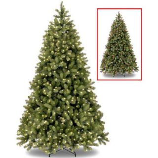 National Tree Pre Lit 9' Feel Real Bayberry Spruce, 3 Function LED Lights
