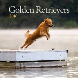Turner Golden Retrievers 2016 Wall Calendar