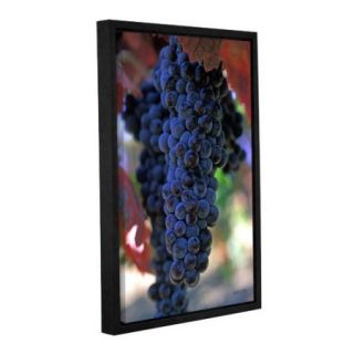 ArtWall On The Vine by Kathy Yates Floater Framed Photographic Print on Gallery Wrapped Canvas