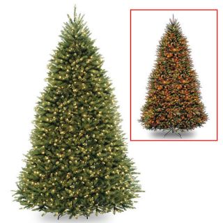 10' Dunhill Fir Hinged Tree with 1200 Low Voltage Dual LED Lights with 9 Function Footswitch    National Tree Company