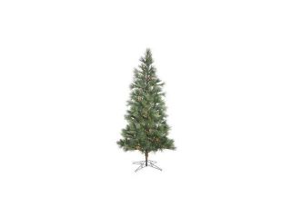 Vickerman 373309   9' x 62" Redmond Spruce 600 Warm White Italian LED Lights with Pine Cones Christmas Tree (G154581LED)